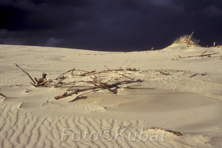 Písečné duny 11.jpg